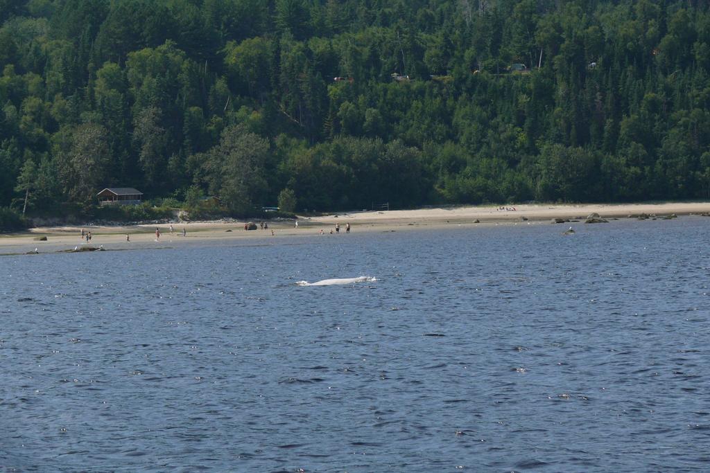 Riviere Petit Saguenay Villa Dış mekan fotoğraf