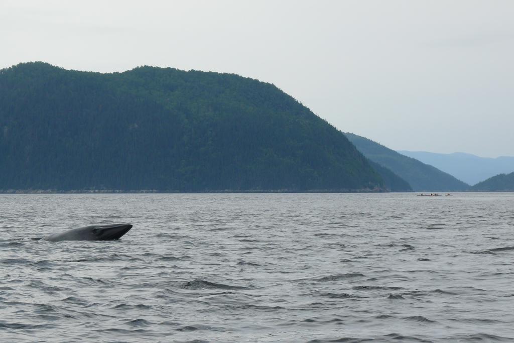 Riviere Petit Saguenay Villa Dış mekan fotoğraf